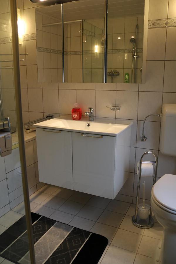 Gaestehaus Rheinburgenblick Kestert Екстериор снимка